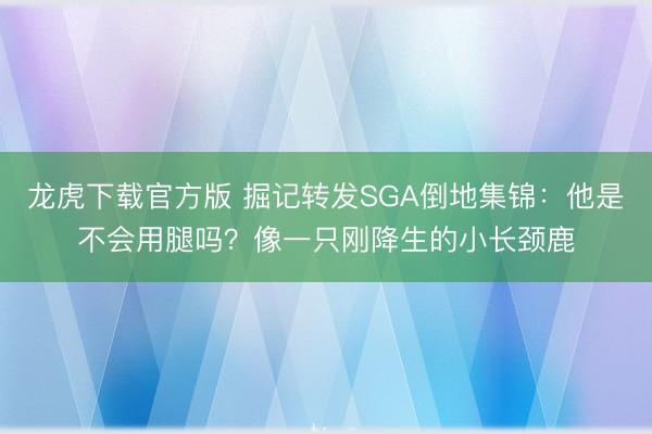 龙虎下载官方版 掘记转发SGA倒地集锦：他是不会用腿吗？像一只刚降生的小长颈鹿