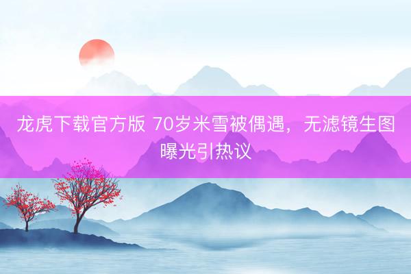 龙虎下载官方版 70岁米雪被偶遇，无滤镜生图曝光引热议