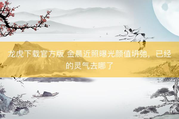 龙虎下载官方版 金晨近照曝光颜值坍弛，已经的灵气去哪了